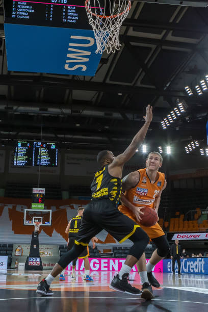 迪马尔科展 迪马尔科展